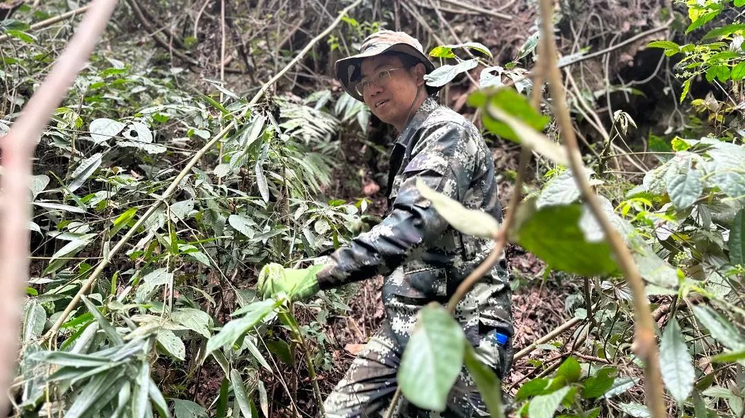 cq9电子大厅