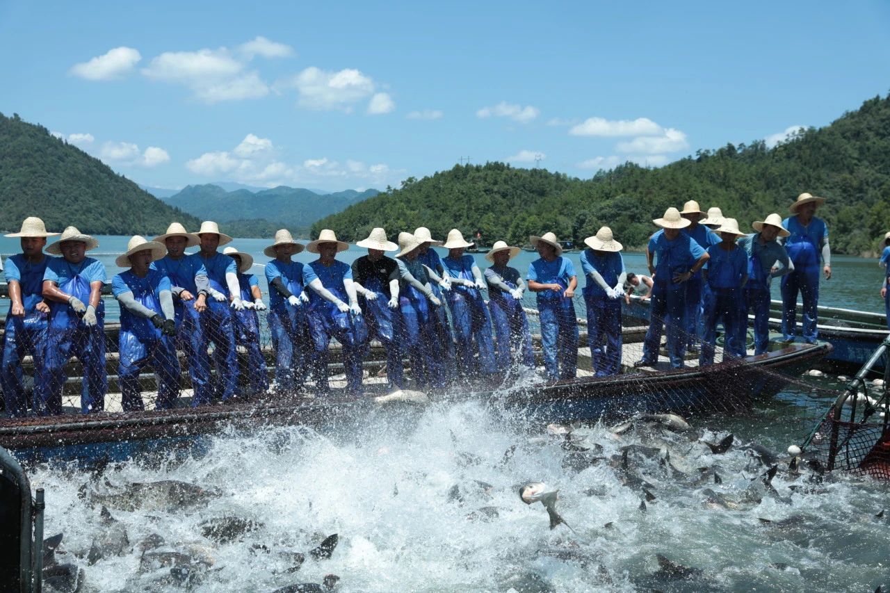 cq9电子大厅