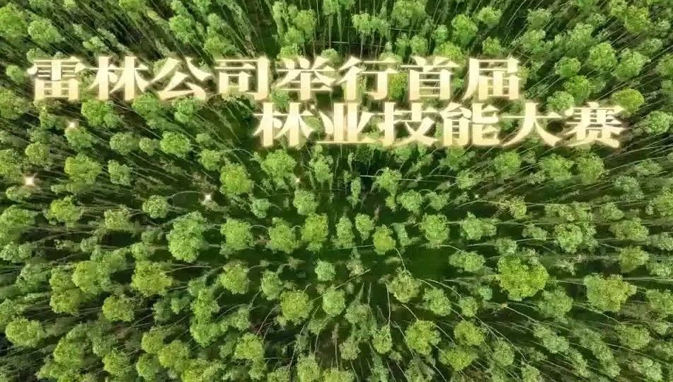 cq9电子大厅