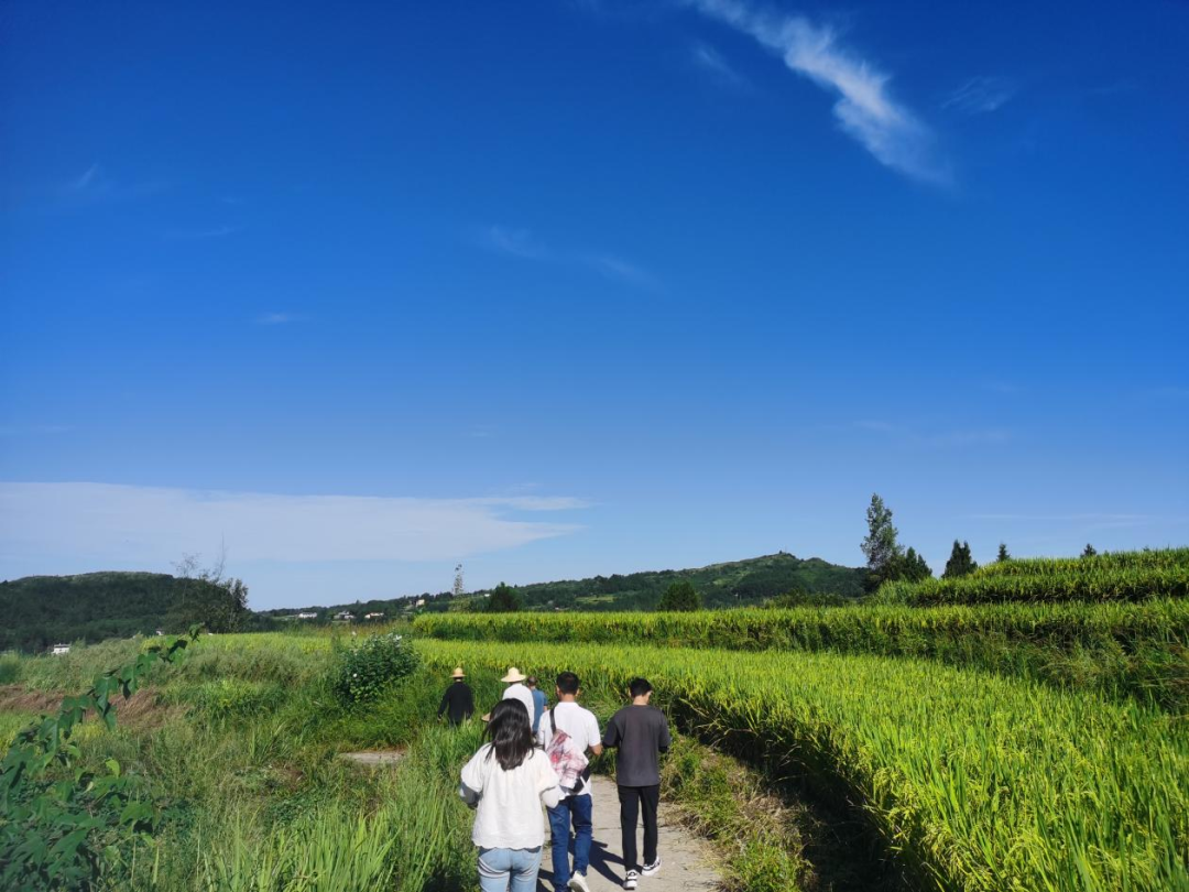 cq9电子大厅