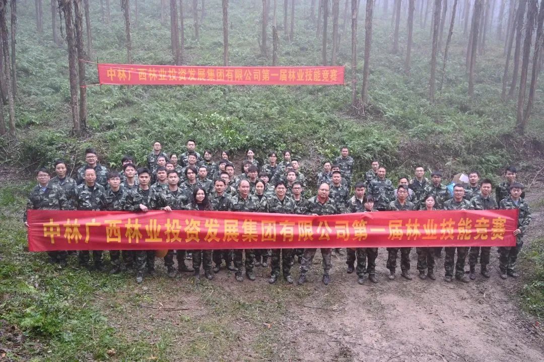 cq9电子大厅