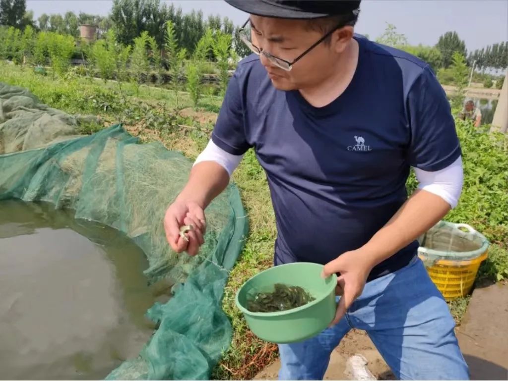cq9电子大厅