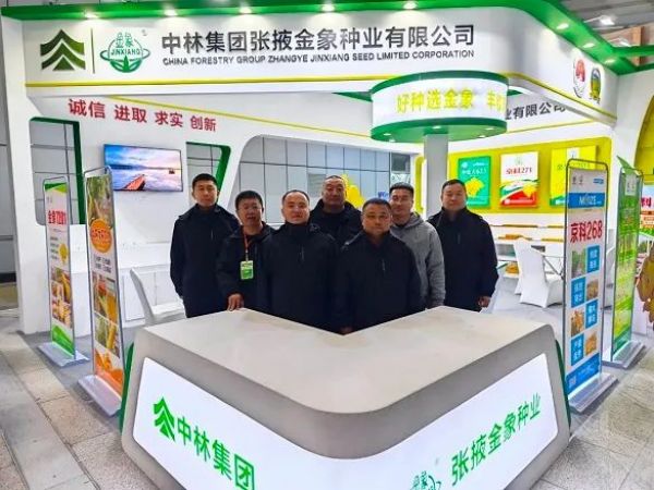 cq9电子大厅