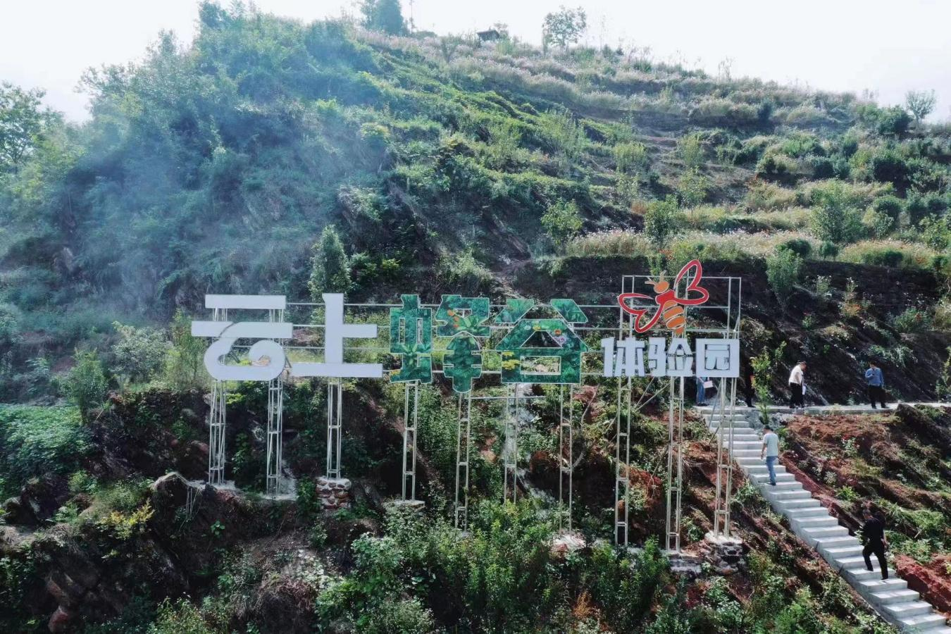 cq9电子大厅