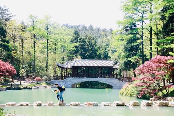 cq9电子大厅