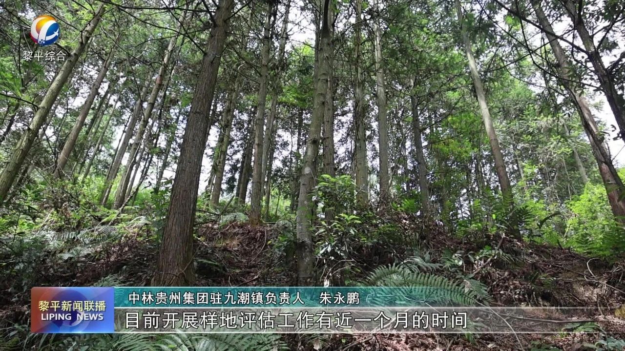 cq9电子大厅