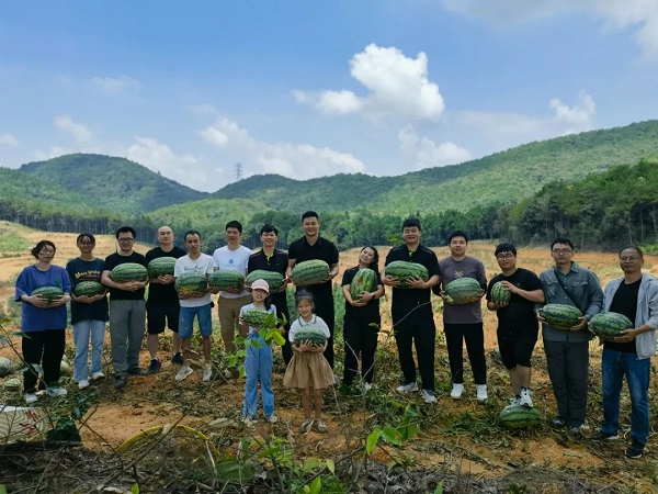 cq9电子大厅