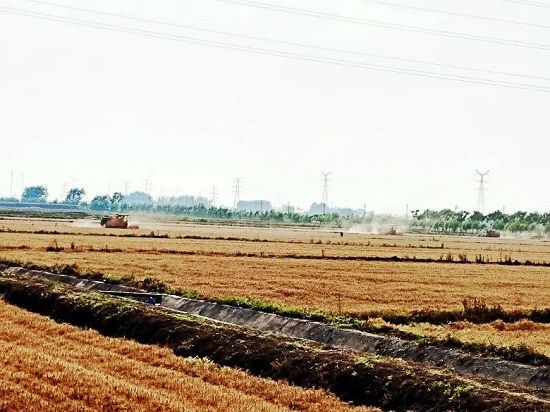 cq9电子大厅