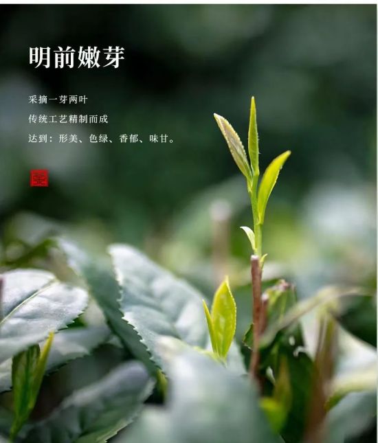 cq9电子大厅