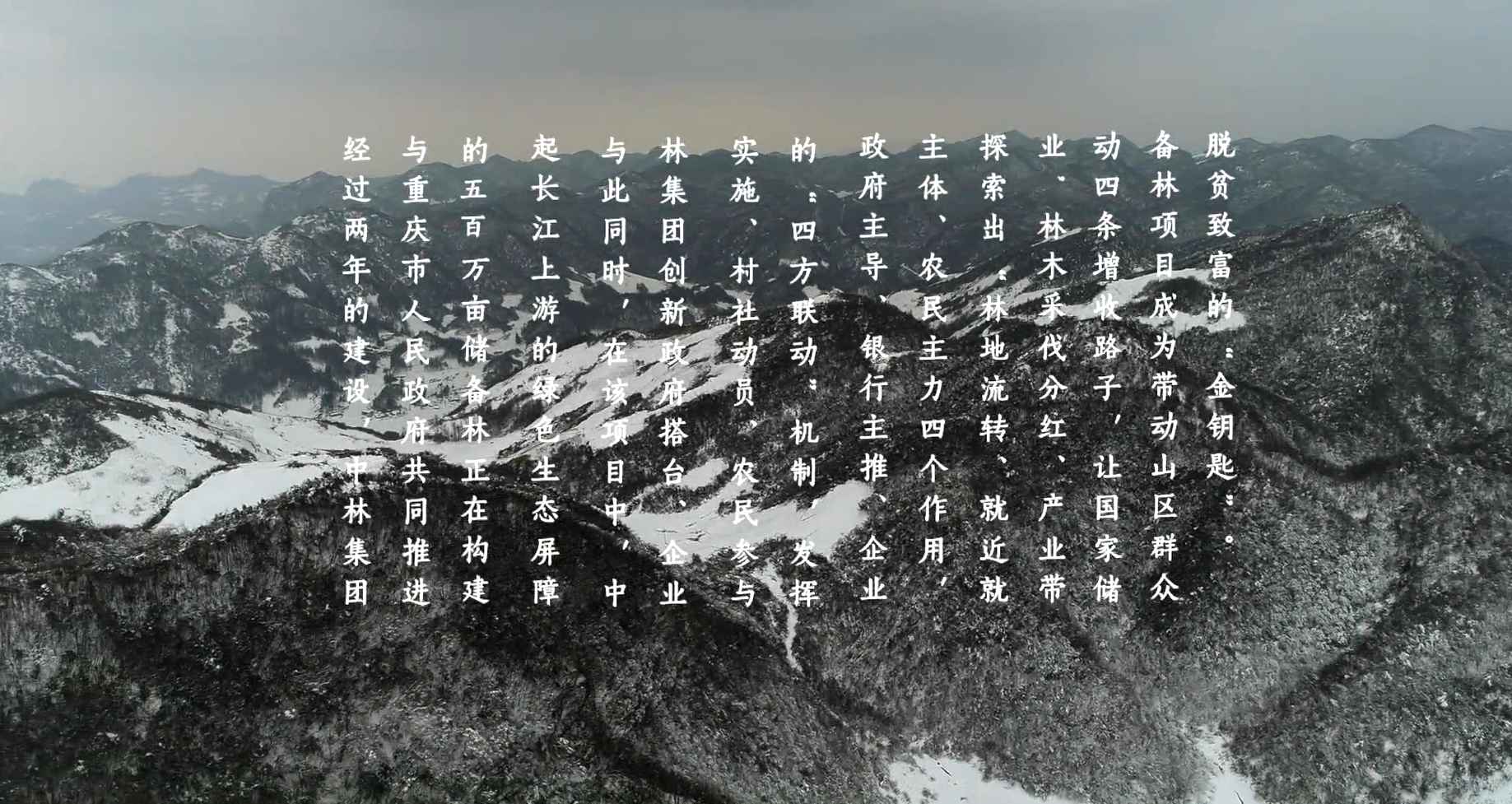 cq9电子大厅