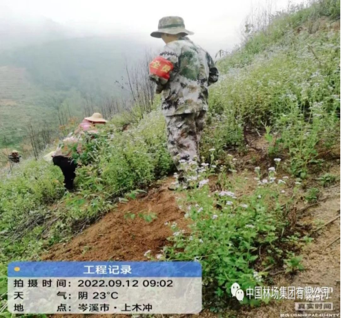 cq9电子大厅